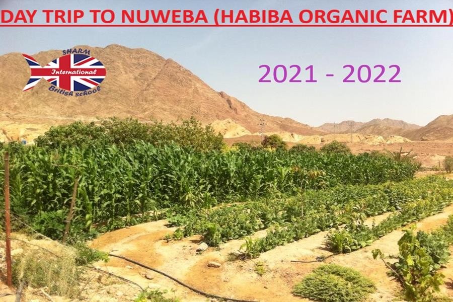 Nuweba Habiba Farm